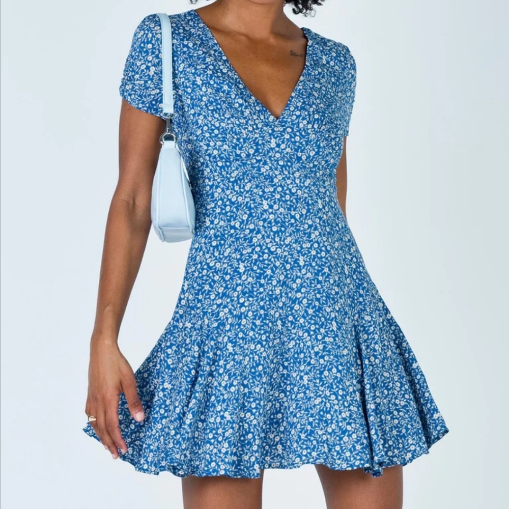 Princess Polly dress